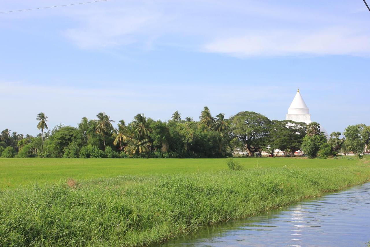 Kottamba Yala Stay & Safari Tissamaharama Exterior foto